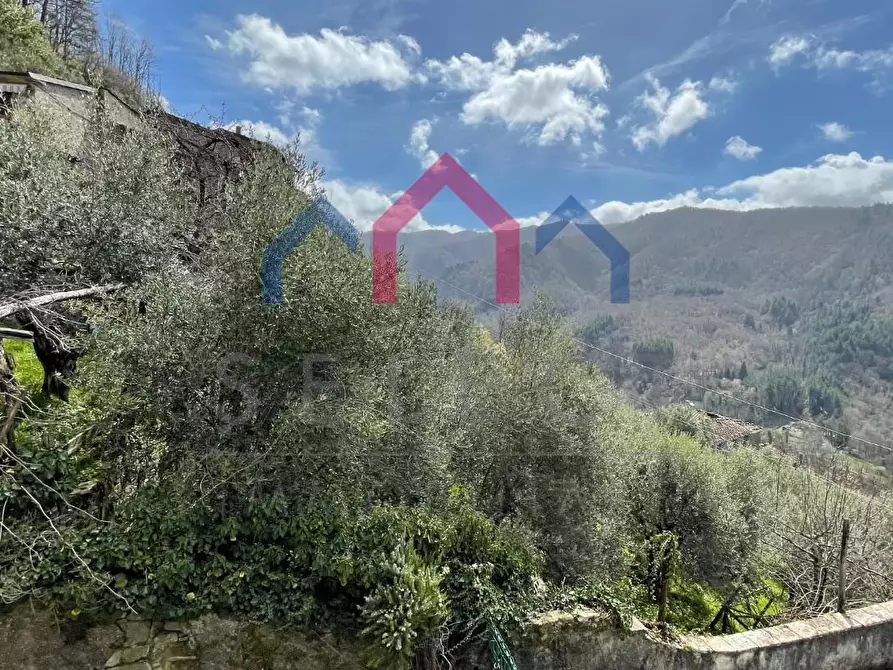 Immagine 40 di Casa semindipendente in vendita  a Bagni Di Lucca