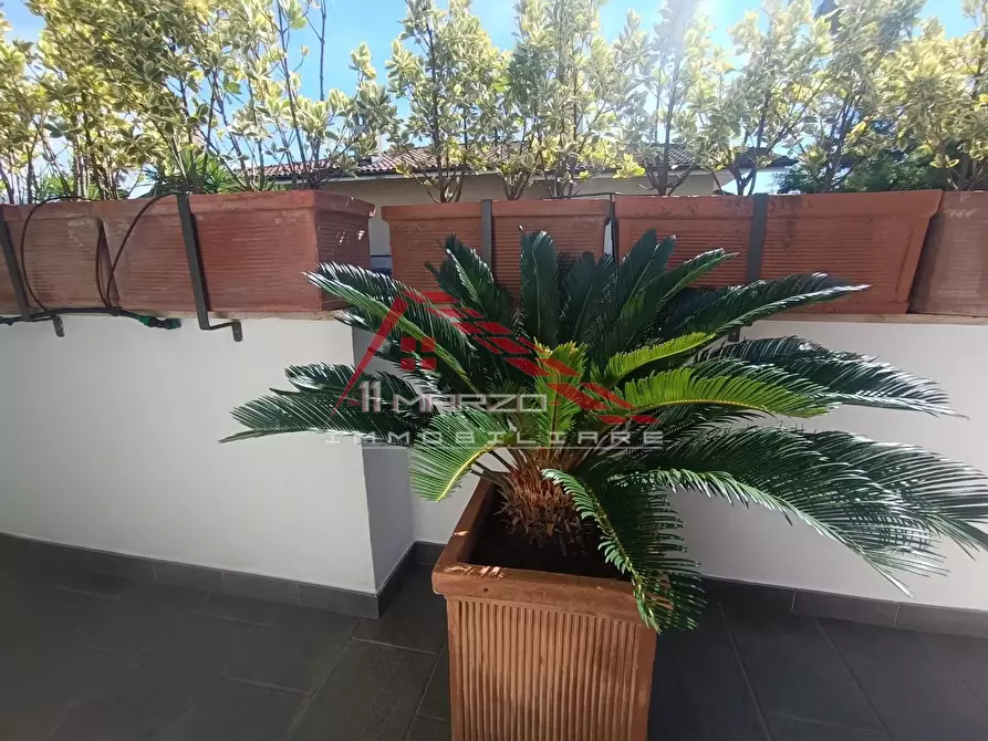 Immagine 38 di Villa in vendita  a Montignoso