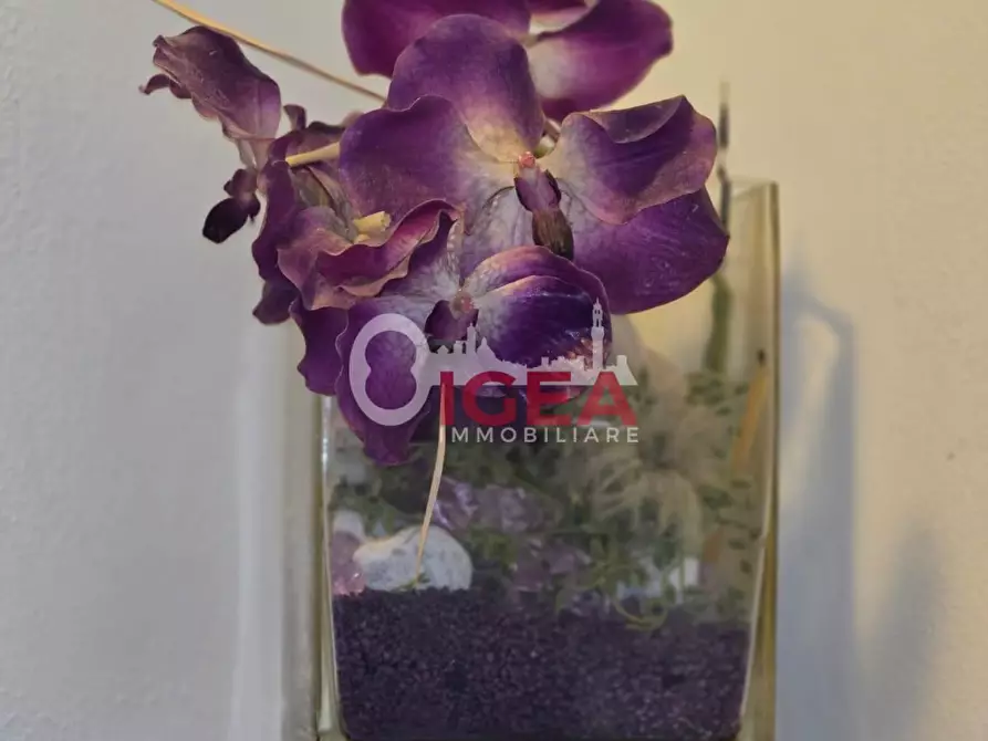 Immagine 11 di Appartamento in vendita  a Sovicille