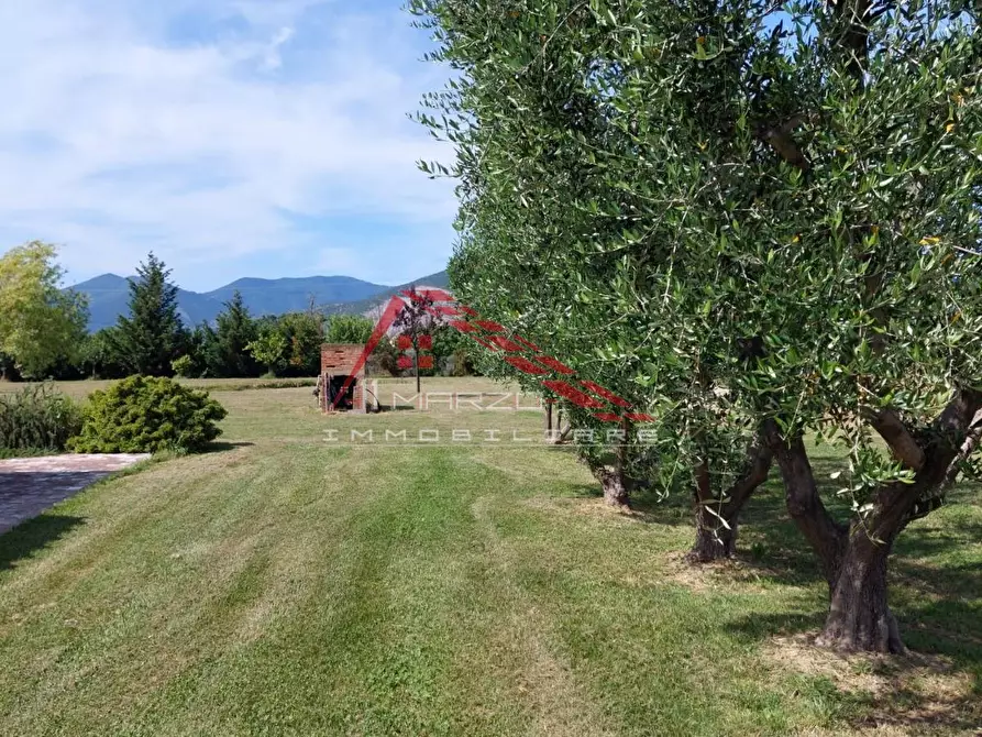 Immagine 61 di Rustico / casale in vendita  a Cascina