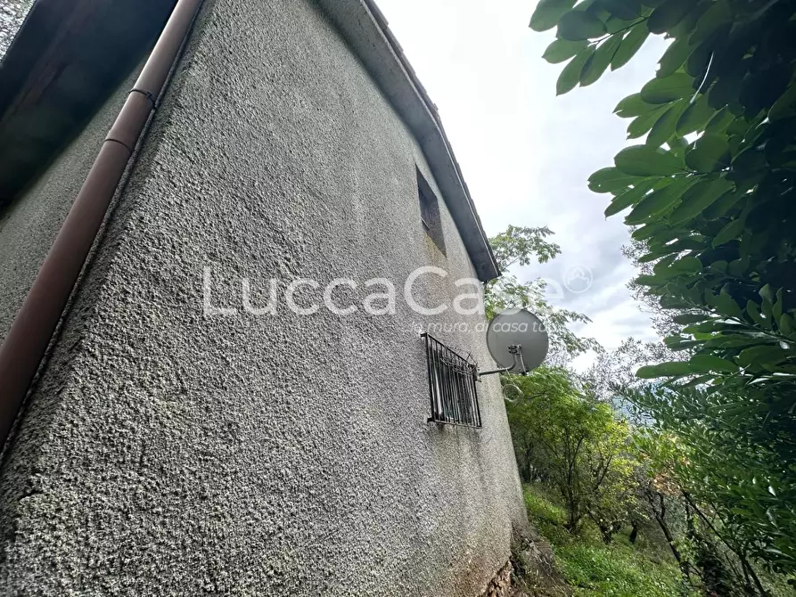 Immagine 16 di Deposito in vendita  a Borgo A Mozzano