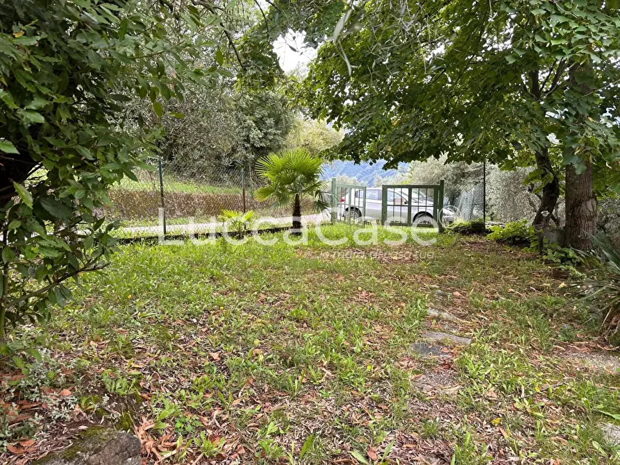 Immagine 6 di Deposito in vendita  a Borgo A Mozzano