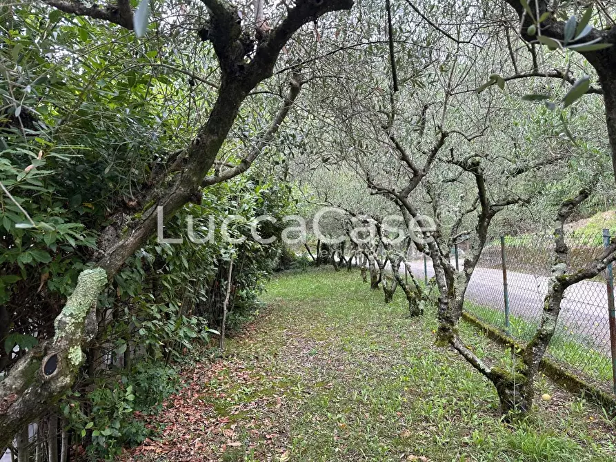 Immagine 10 di Deposito in vendita  a Borgo A Mozzano