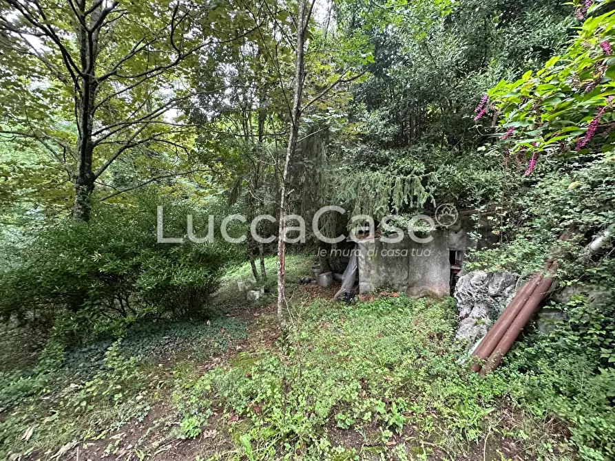 Immagine 8 di Deposito in vendita  a Borgo A Mozzano