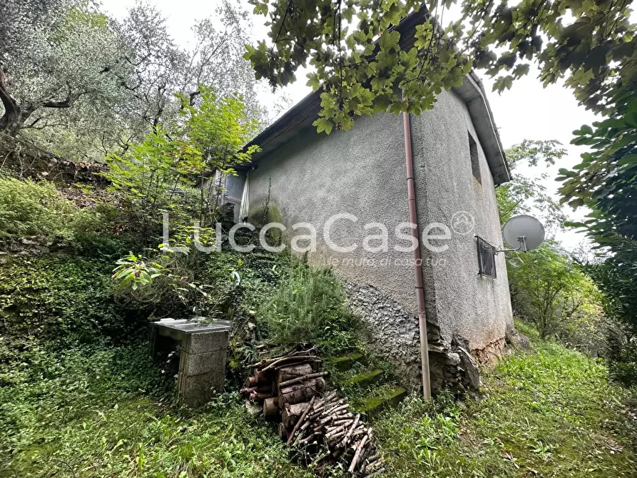 Immagine 2 di Deposito in vendita  a Borgo A Mozzano