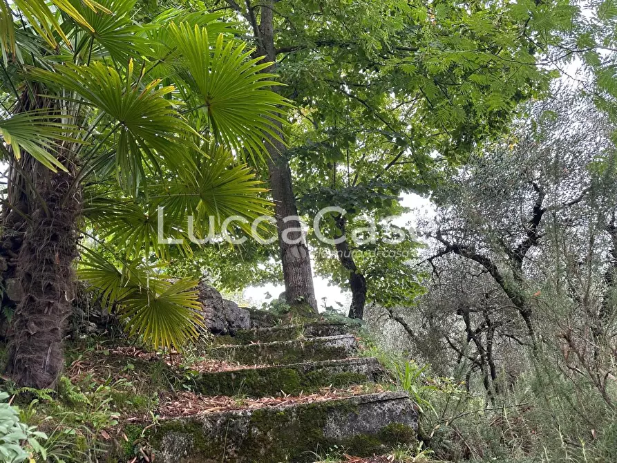 Immagine 12 di Deposito in vendita  a Borgo A Mozzano
