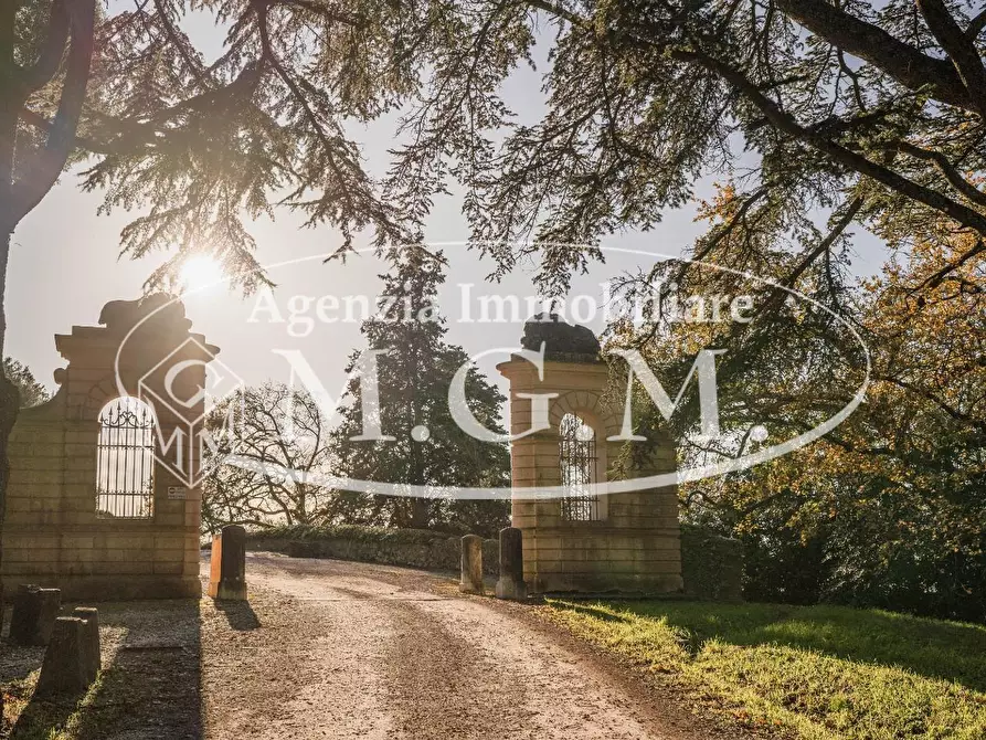 Immagine 35 di Appartamento in vendita  a Calcinaia