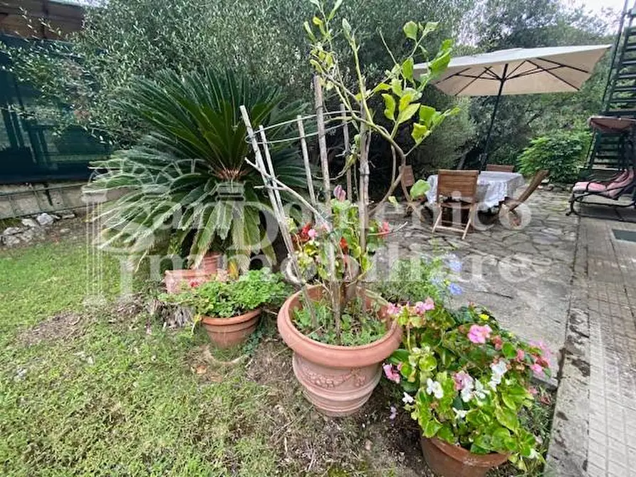casa indipendente in vendita a Pisa in zona Tirrenia