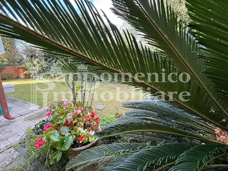 Immagine 52 di Villa in vendita  a Pisa