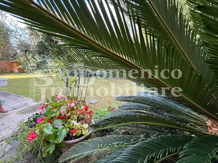 Immagine 53 di Villa in vendita  a Pisa