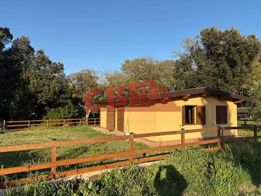 Immagine 2 di Terreno agricolo in vendita  a Livorno