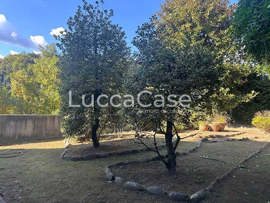 Immagine 31 di Villa in vendita  a Borgo A Mozzano