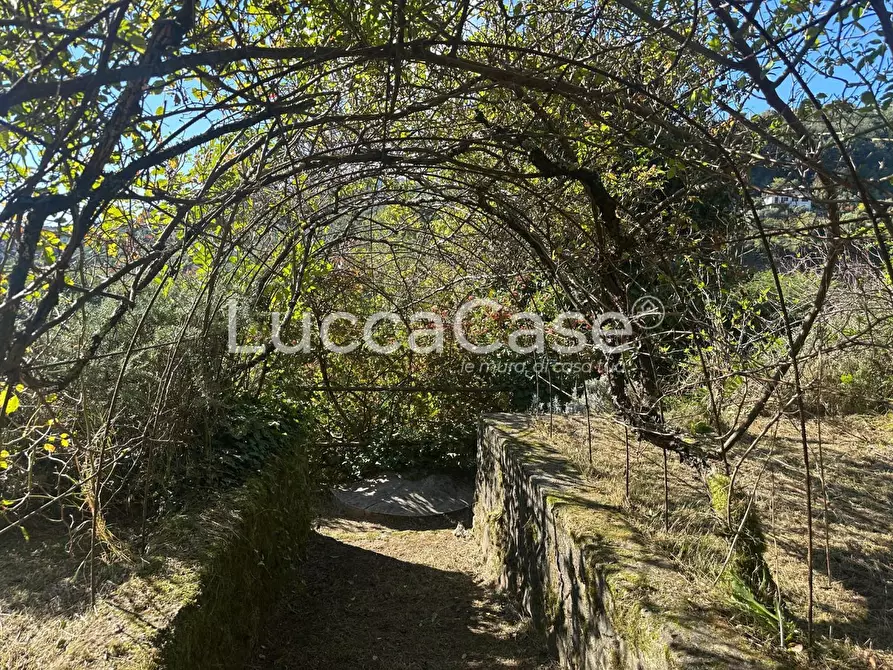 Immagine 27 di Villa in vendita  a Borgo A Mozzano