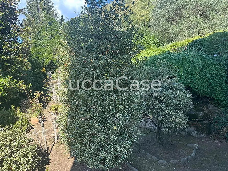 Immagine 44 di Villa in vendita  a Borgo A Mozzano