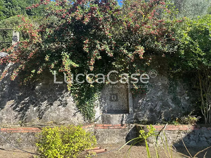 Immagine 29 di Villa in vendita  a Borgo A Mozzano