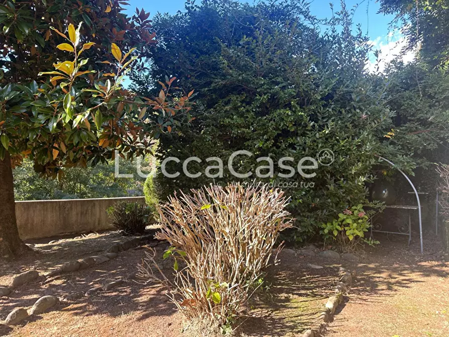 Immagine 32 di Villa in vendita  a Borgo A Mozzano