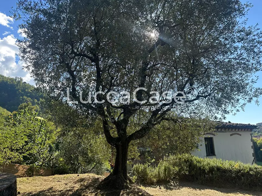 Immagine 37 di Villa in vendita  a Borgo A Mozzano