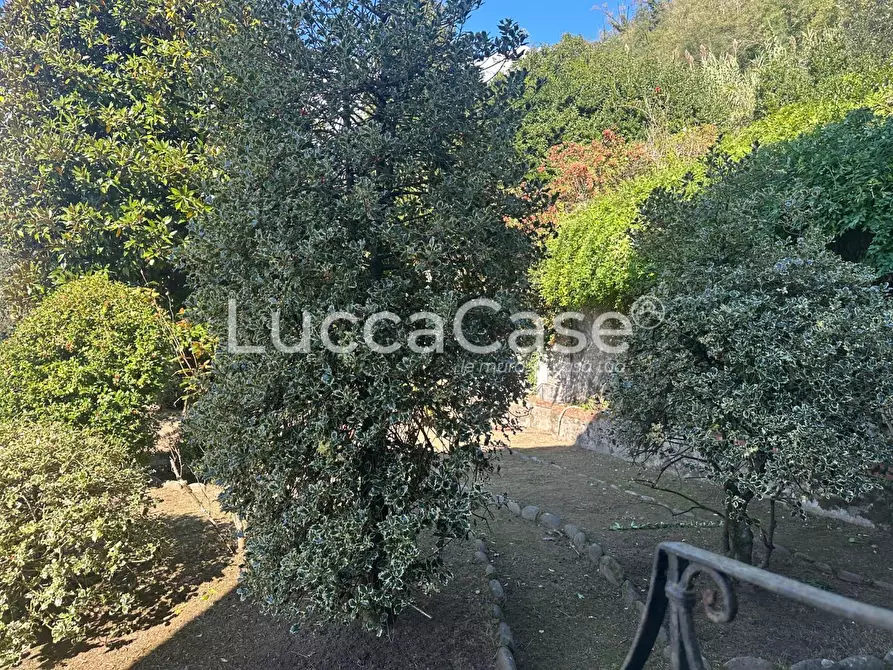 Immagine 35 di Villa in vendita  a Borgo A Mozzano