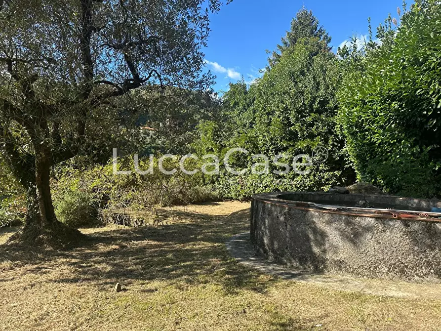 Immagine 36 di Villa in vendita  a Borgo A Mozzano