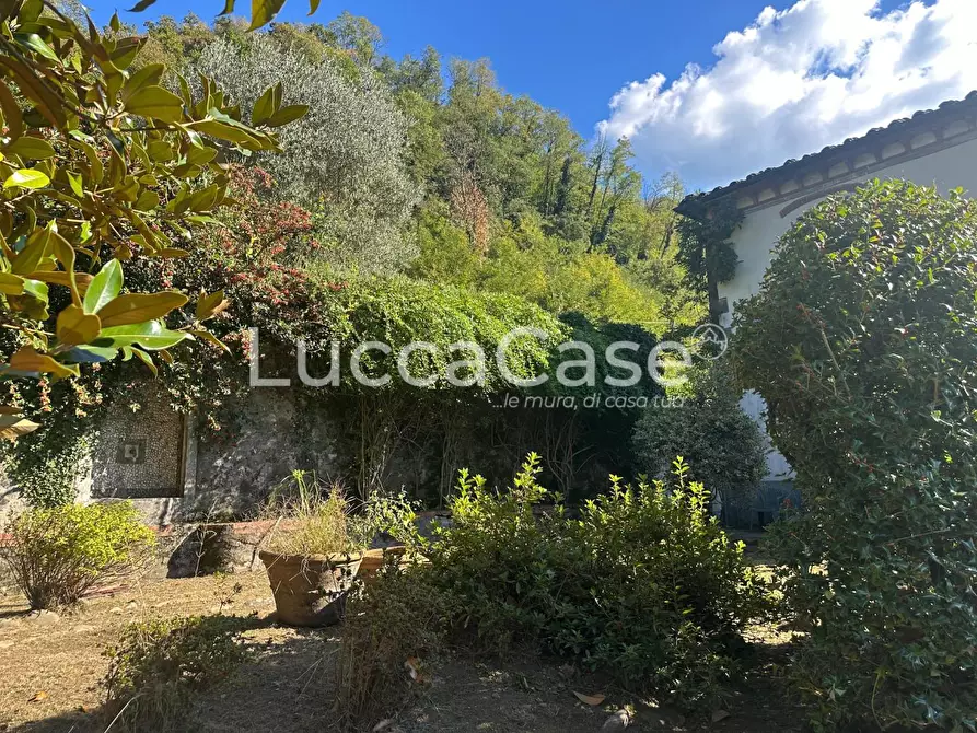 Immagine 33 di Villa in vendita  a Borgo A Mozzano