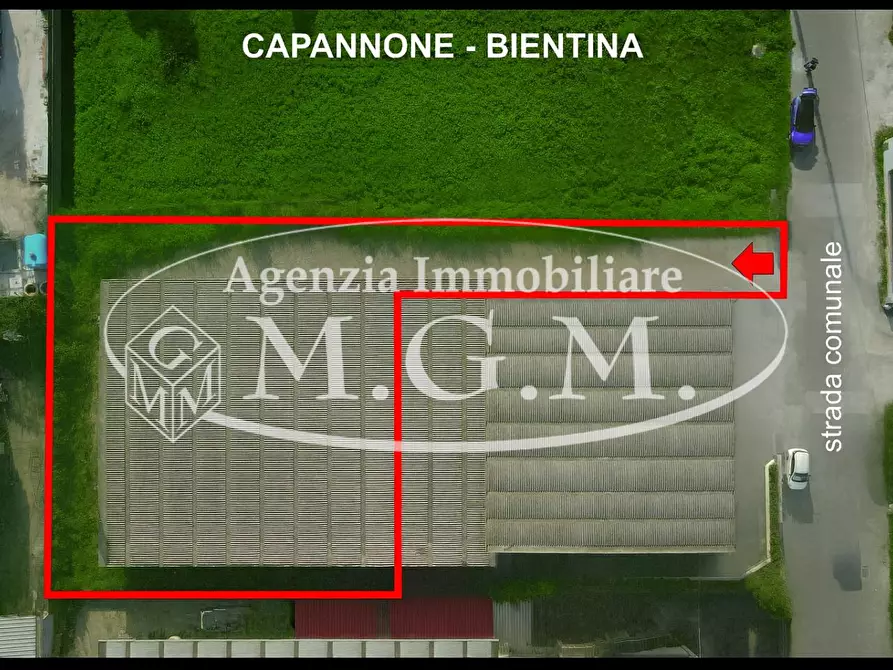 Immagine 2 di Attività artigianale in affitto  a Bientina