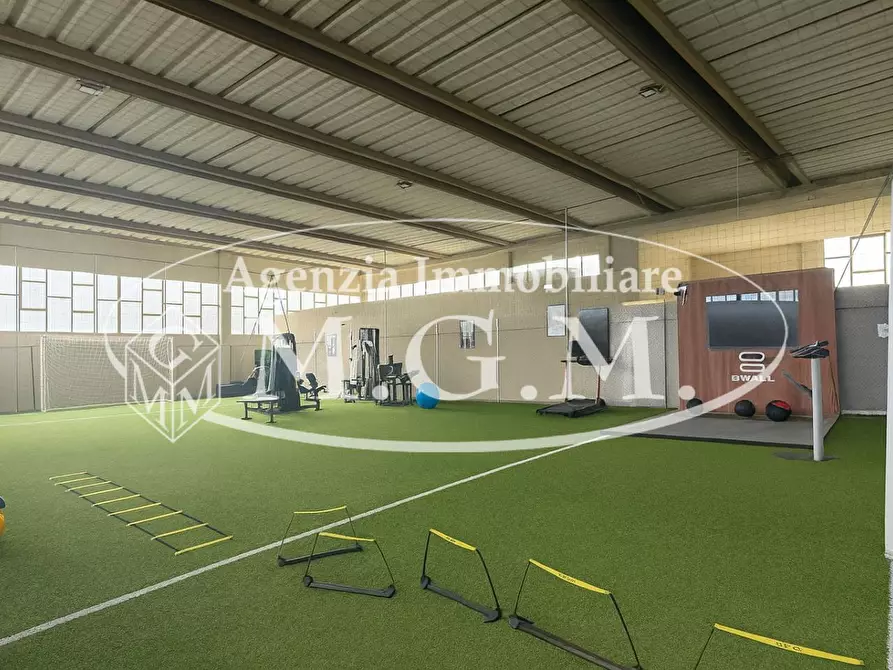 Immagine 5 di Attività artigianale in affitto  a Bientina