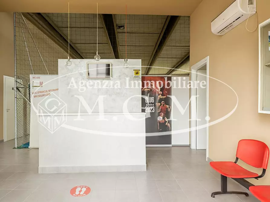 Immagine 3 di Attività artigianale in affitto  a Bientina