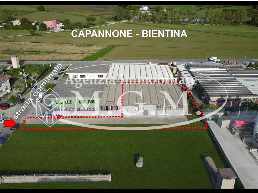 Immagine 1 di Attività artigianale in affitto  a Bientina