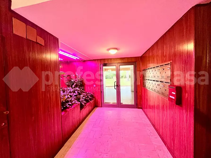 Immagine 28 di Appartamento in vendita  a Pisa