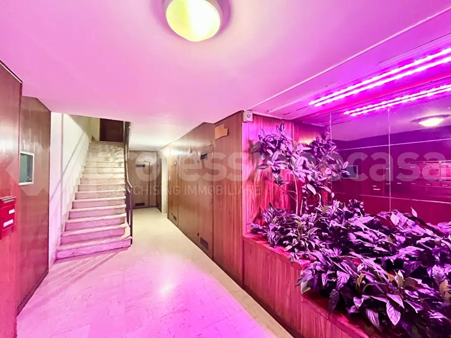 Immagine 29 di Appartamento in vendita  a Pisa