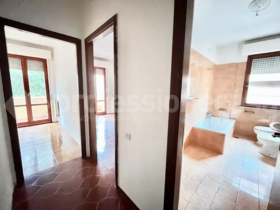 Immagine 22 di Appartamento in vendita  a Pisa