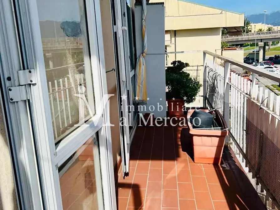 Immagine 31 di Appartamento in vendita  a Viareggio