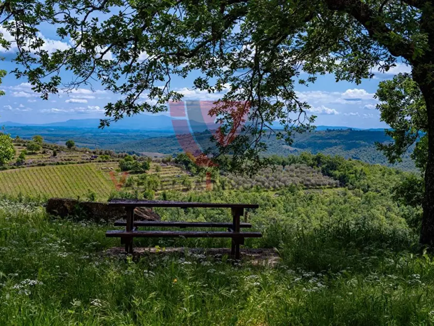 Immagine 39 di Appartamento in vendita  a Gaiole In Chianti