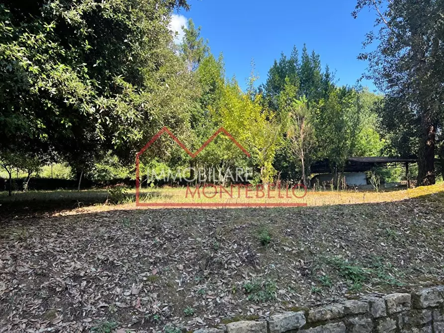 Immagine 24 di Villa in vendita  a Camaiore