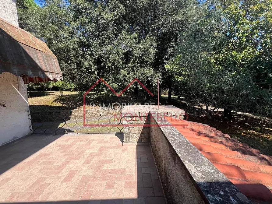 Immagine 4 di Villa in vendita  a Camaiore