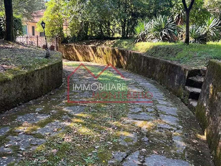 Immagine 23 di Villa in vendita  a Camaiore