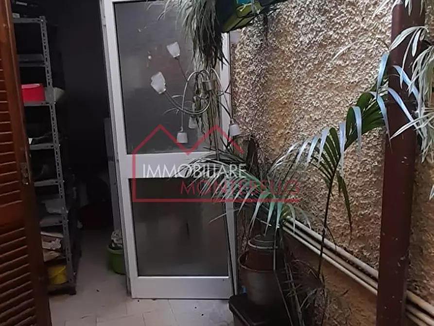 Immagine 9 di Appartamento in vendita  a Camaiore