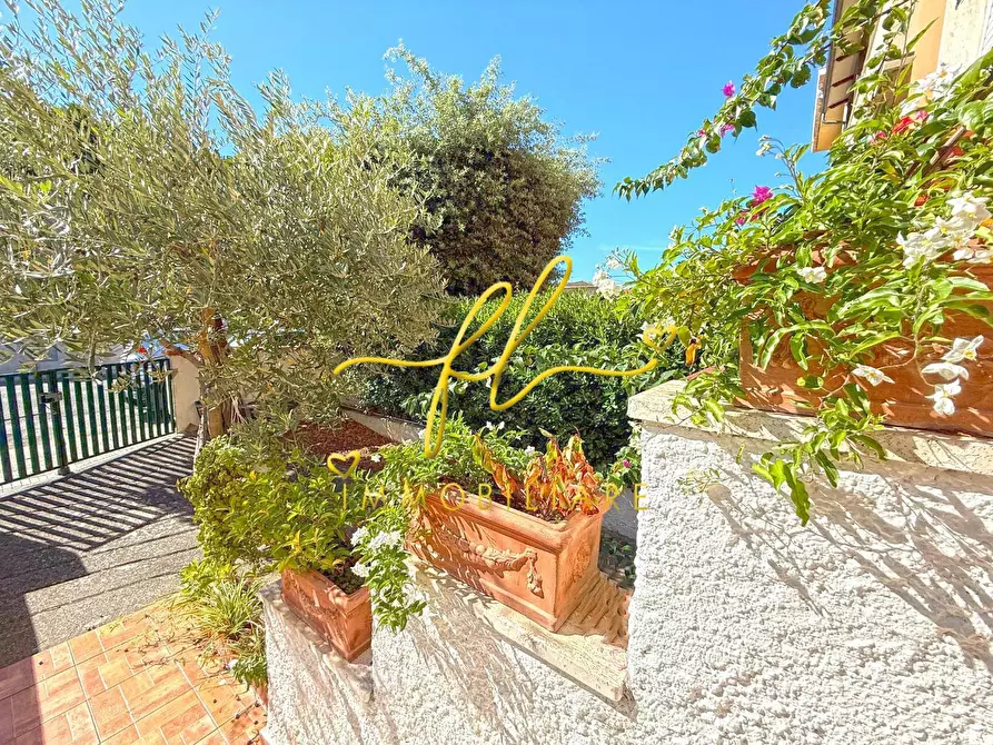 Immagine 25 di Villetta a schiera in vendita  a Cecina