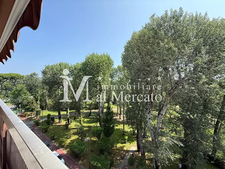 Immagine 12 di Appartamento in vendita  a Viareggio