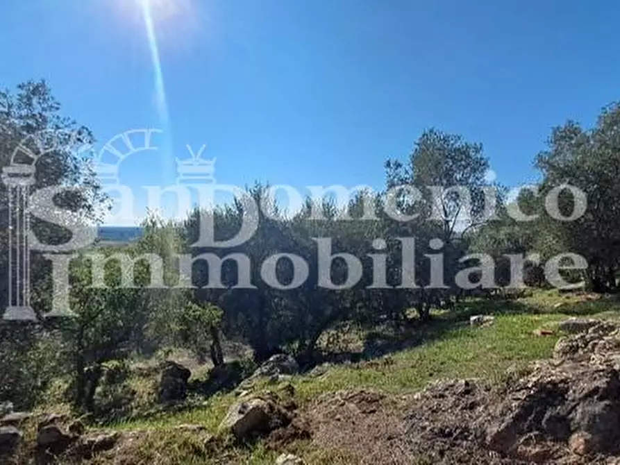 Immagine 4 di Rustico / casale in vendita  a San Giuliano Terme