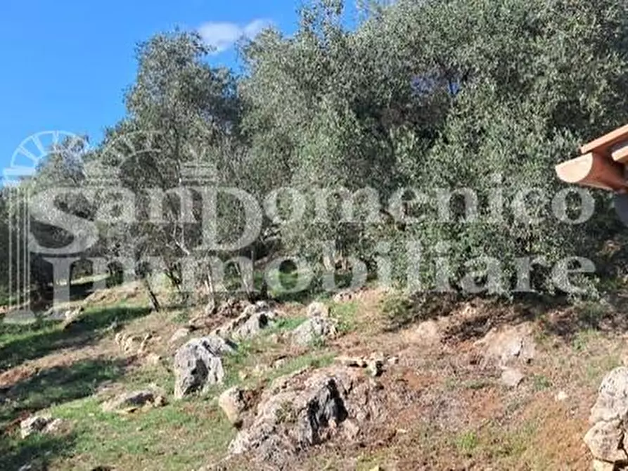 Immagine 8 di Rustico / casale in vendita  a San Giuliano Terme