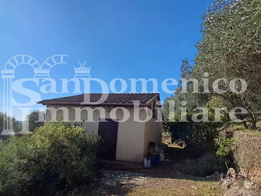 Immagine 9 di Rustico / casale in vendita  a San Giuliano Terme