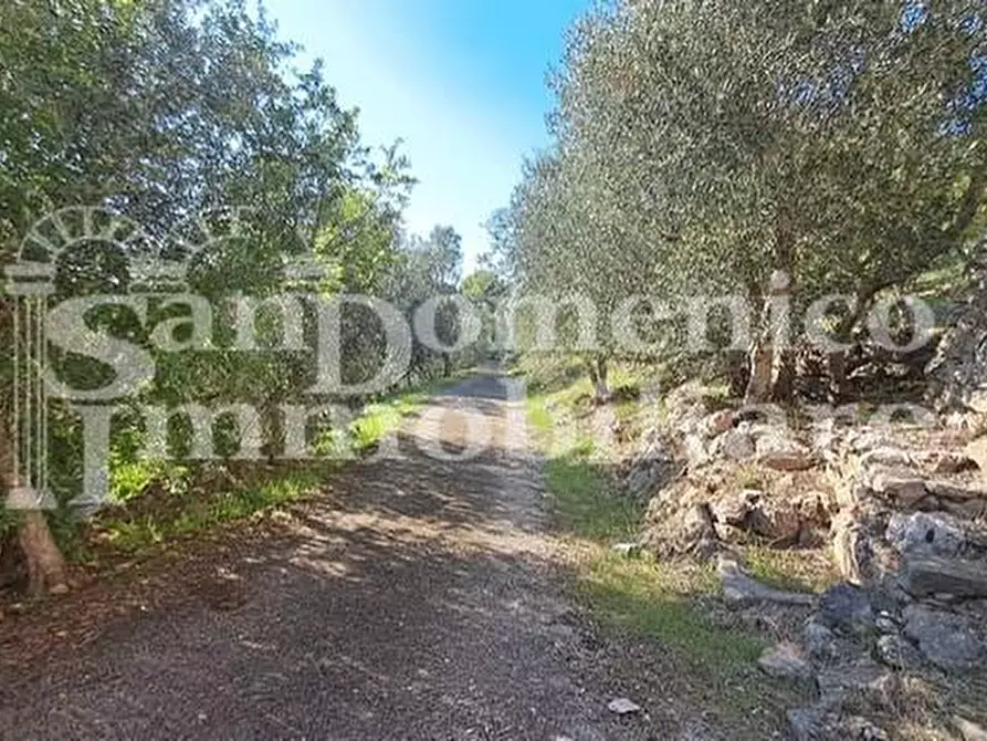 Immagine 10 di Rustico / casale in vendita  a San Giuliano Terme