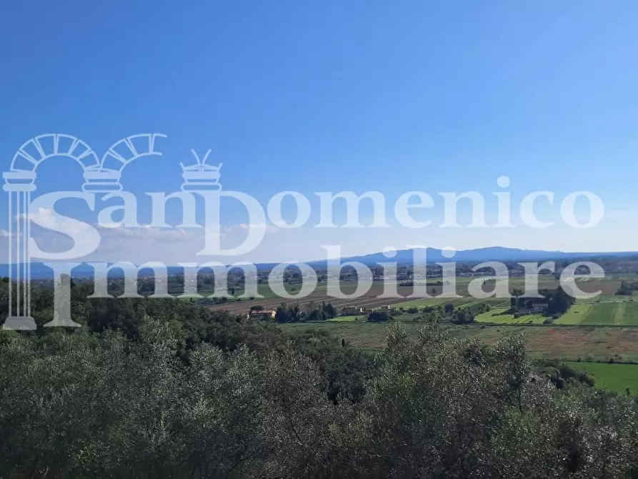 Immagine 2 di Rustico / casale in vendita  a San Giuliano Terme