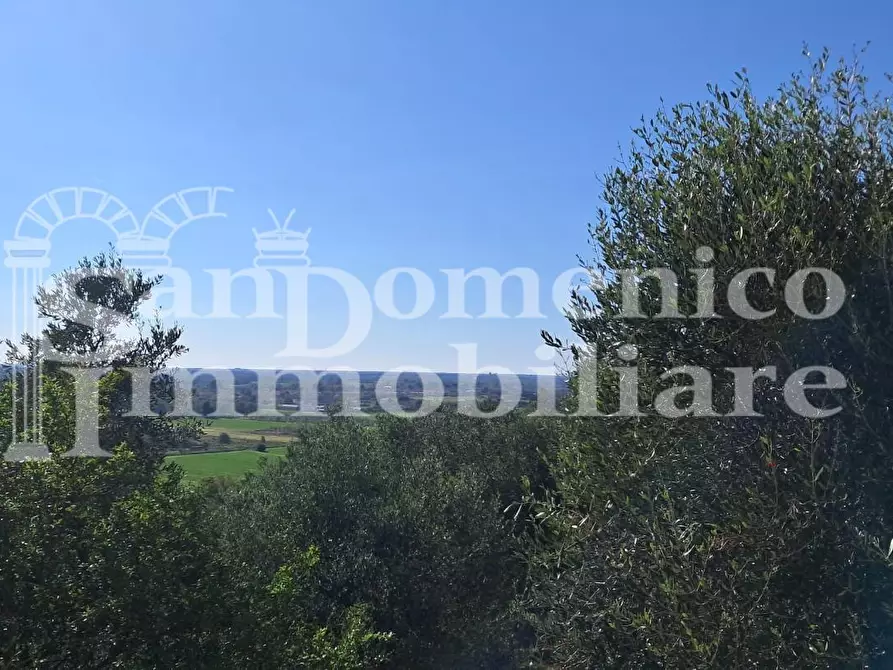 Immagine 5 di Rustico / casale in vendita  a San Giuliano Terme