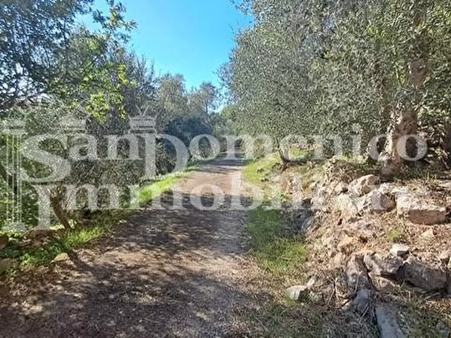 Immagine 7 di Rustico / casale in vendita  a San Giuliano Terme