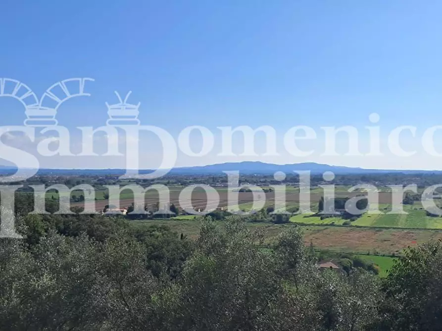 Immagine 3 di Rustico / casale in vendita  a San Giuliano Terme