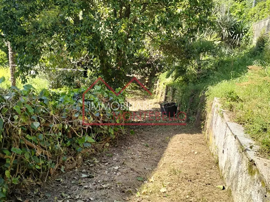 Immagine 18 di Casa bifamiliare in vendita  a Camaiore