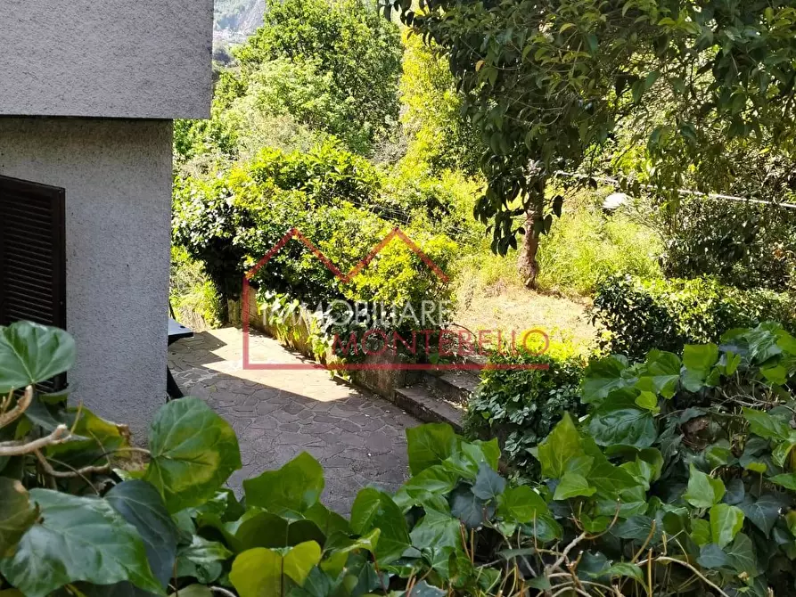 Immagine 2 di Casa bifamiliare in vendita  a Camaiore