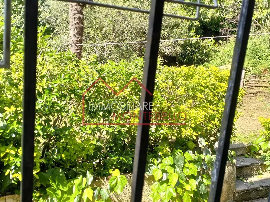 Immagine 13 di Casa bifamiliare in vendita  a Camaiore